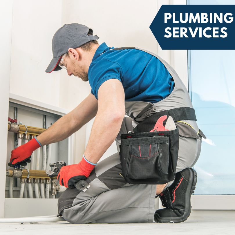 Dowell Plumbing Company
